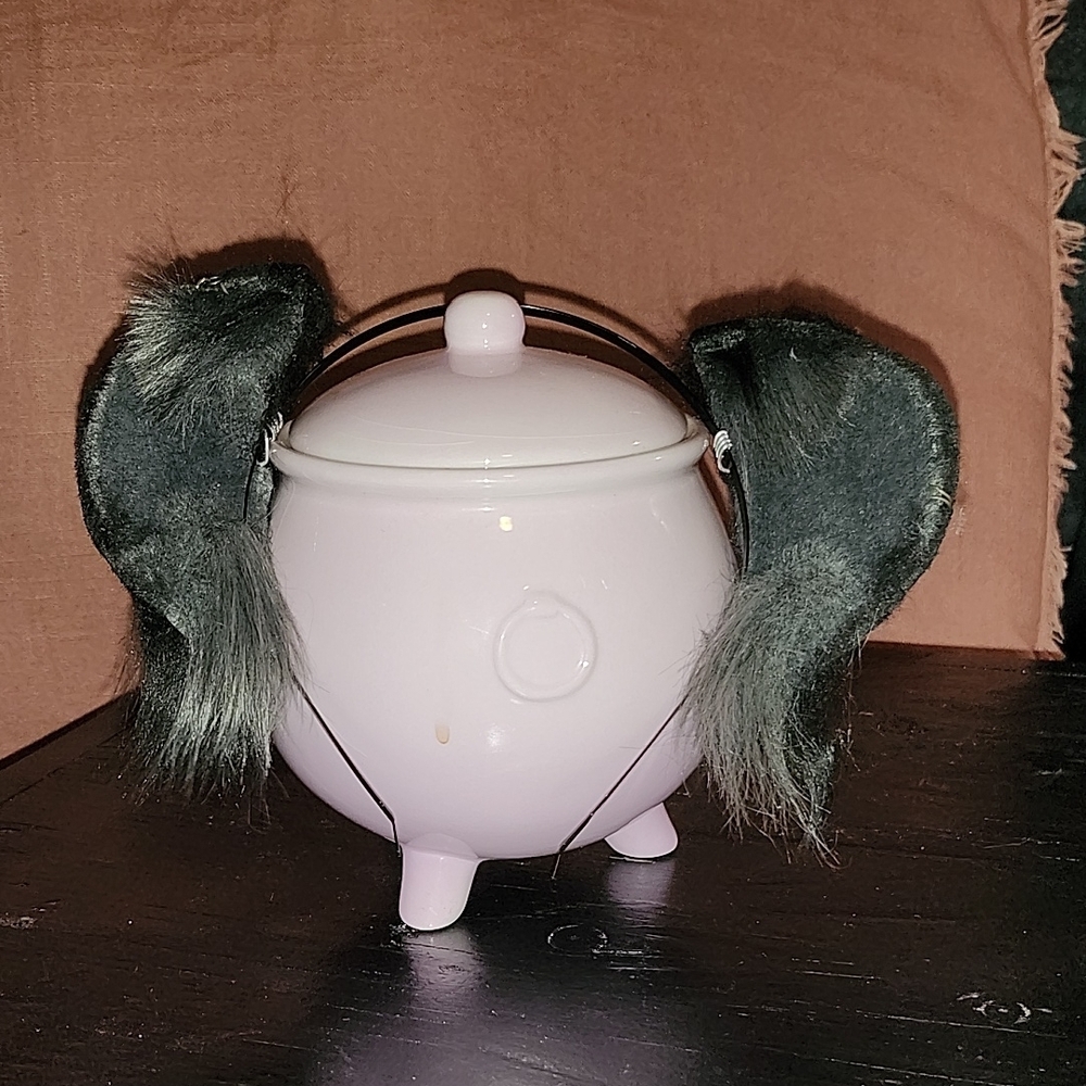 Unique Pink Teapot with Black Fur Accents